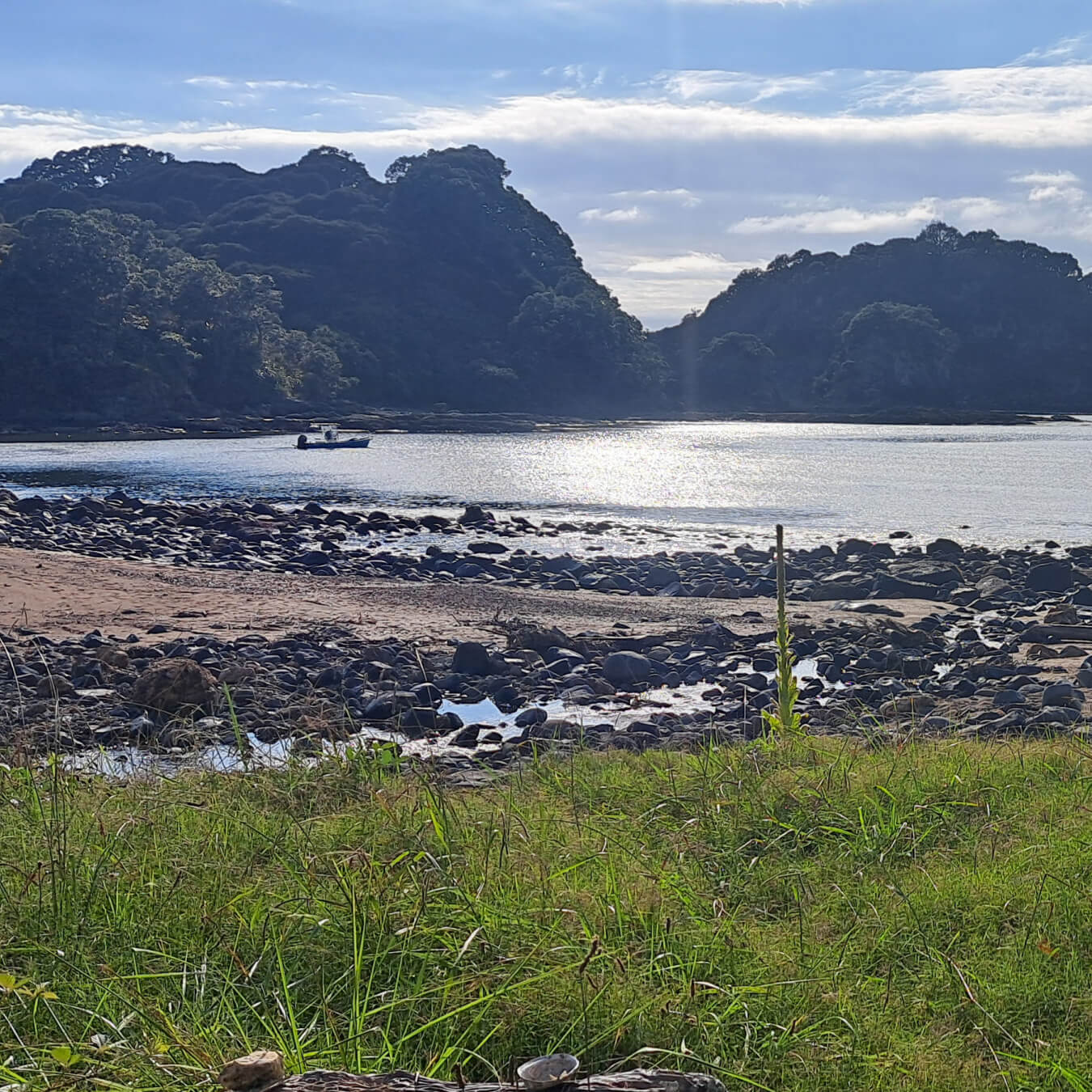 A preview of the Coromandel coastal tour