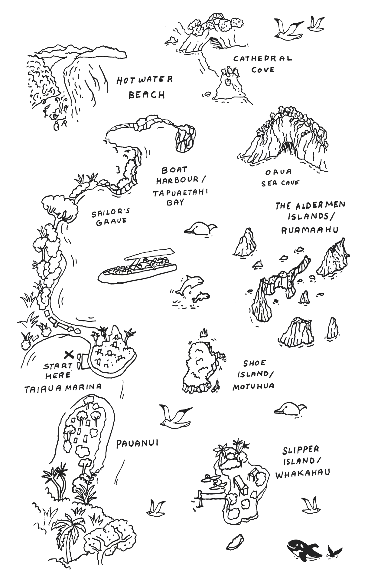 Illustrated map of the Coromandel coast and islands, from Cathedral Cove to Slipper Island