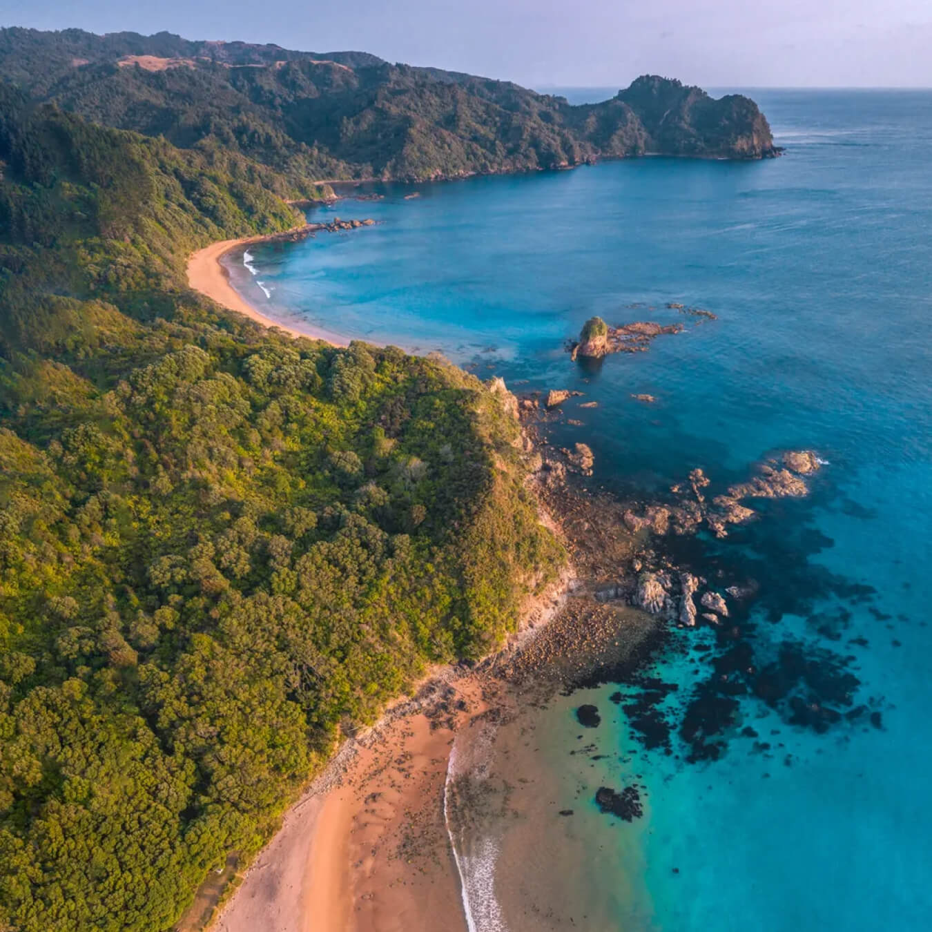 Scenery from a Coromandel coastal adventure