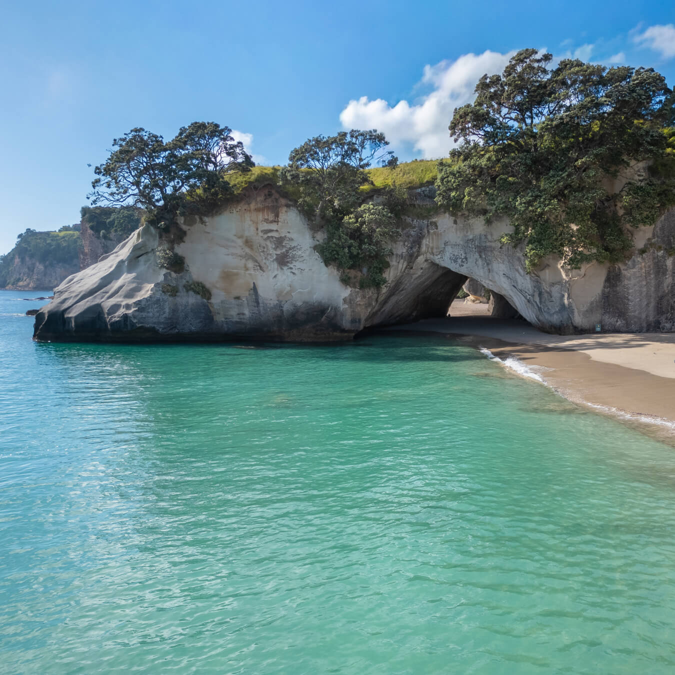 Coromandel coast on the Cathedral Cove tour